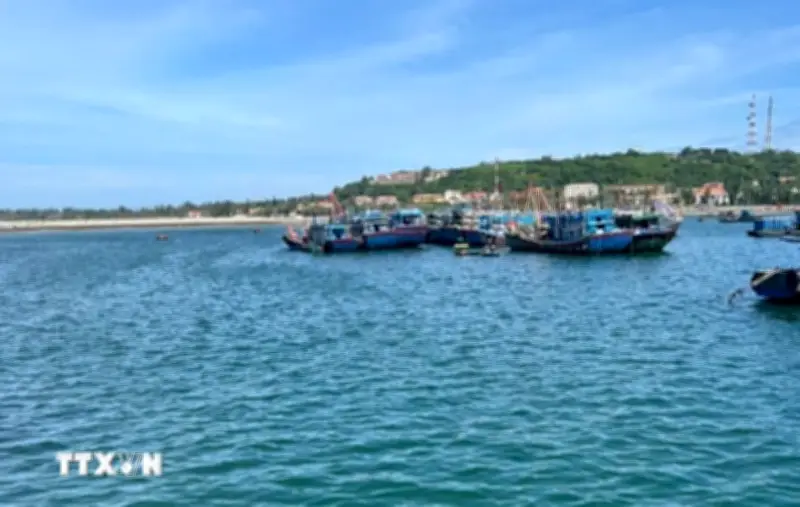 Hải Phòng cứu thành công 9 người gặp nạn trên biển, 2 người mất tích