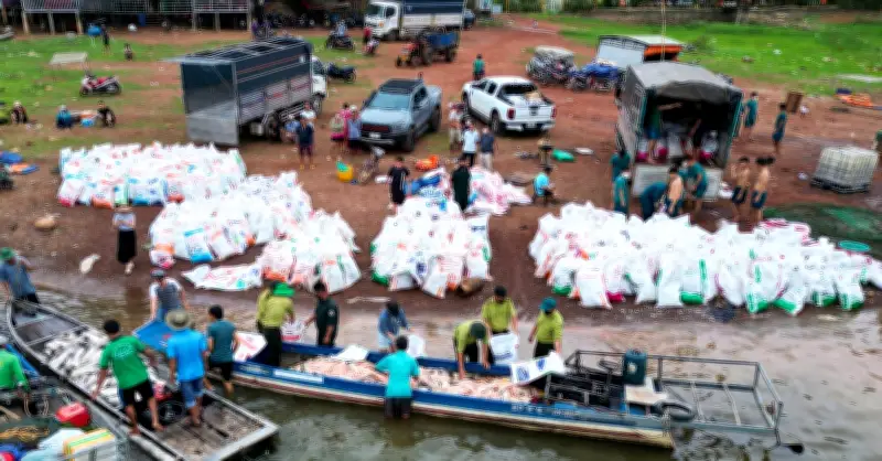 Hơn 100 tấn cá chết trắng hồ, tri ân sau mưa lớn đầu mùa