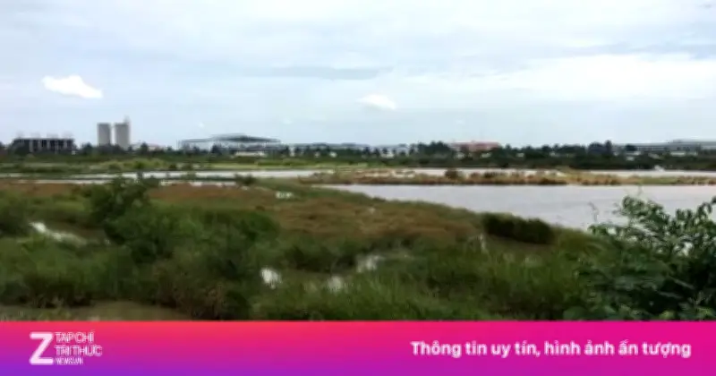 Hơn 2.000 ha đất bị loại khỏi danh sách thí điểm nhà ở thương mại tại TP.HCM