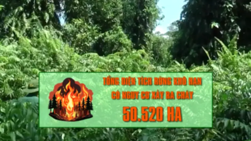 Hơn 50.000 ha rừng tại Cà Mau có nguy cơ cháy cao