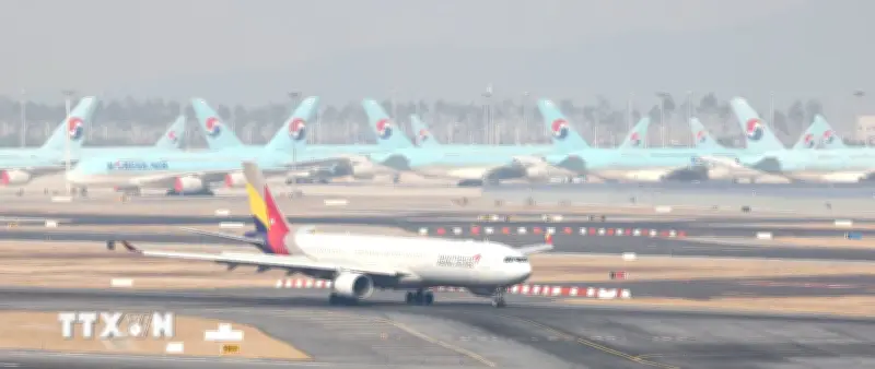 Hãng hàng không Korean Air và Asiana chính thức hợp nhất