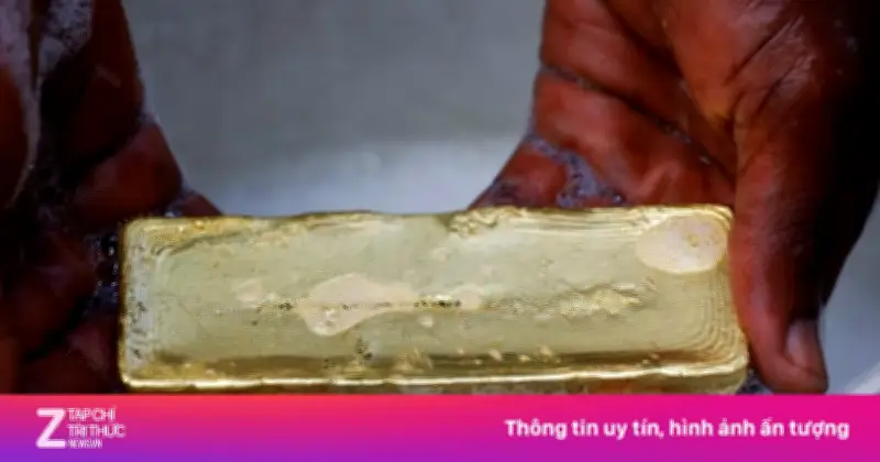 Hàng tỷ USD vàng phi pháp xuất ra từ rừng Amazon