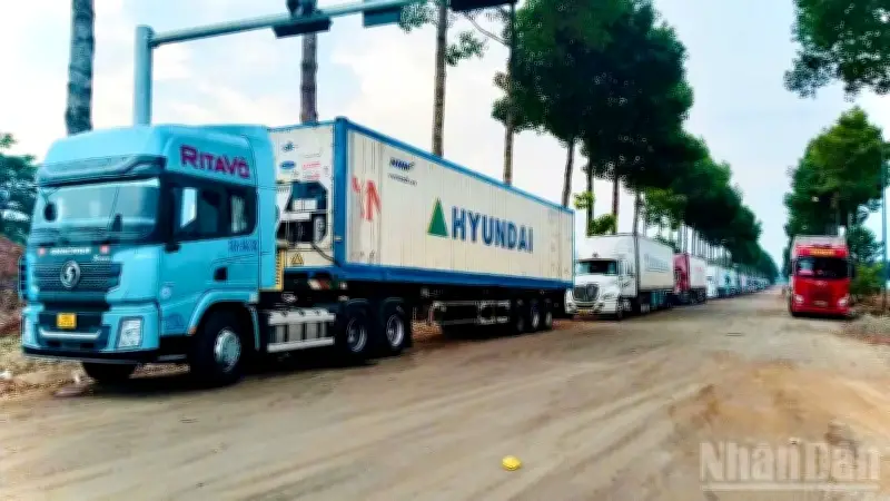 Hàng trăm xe container chở sầu riêng ùn ứ tại bến xe Dầu Giây, gây ách tắc giao thông