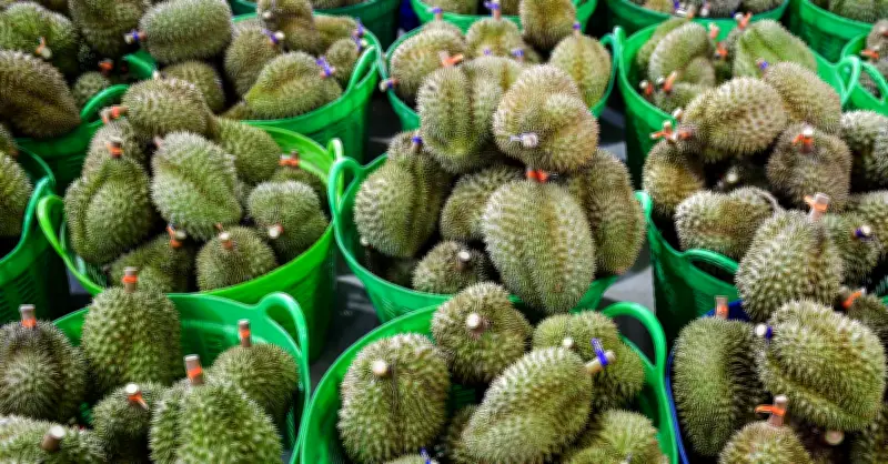 Hàng trăm xe sầu riêng ùn ứ tại cửa khẩu, Bộ Yêu cầu phản ứng nhanh