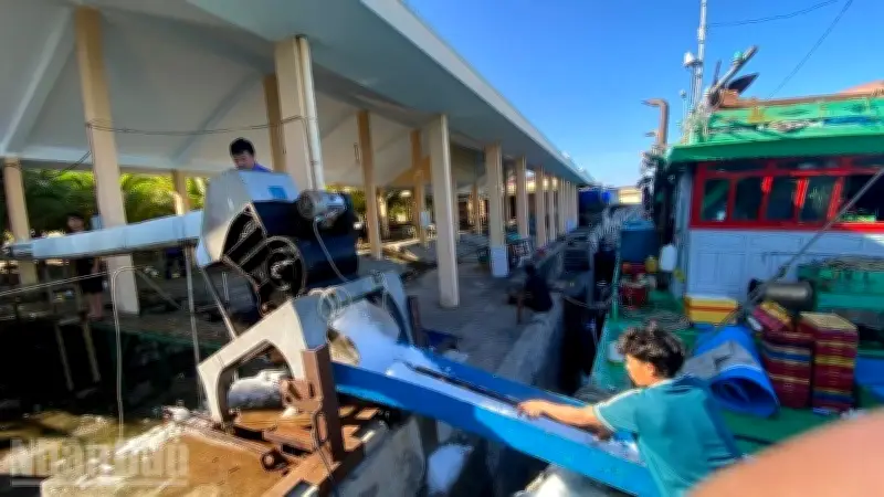 Huế tăng cường kiểm tra chống khai thác IUU, quyết tâm gỡ thẻ vàng