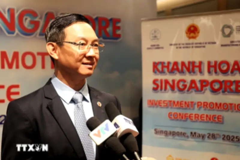 Đại sứ Trần Phước Anh: Chuyến thăm Singapore của Tổng Bí thư, Chủ tịch nước Tô Lâm tạo xung lực mới cho quan hệ hai nước