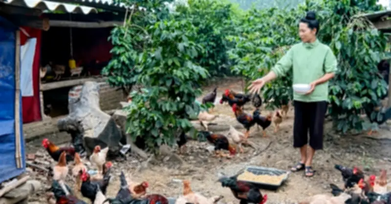 Điện Biên đẩy mạnh chuyển đổi số trong truyền thông khuyến nông