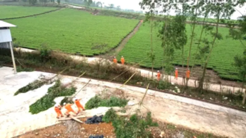 Điện lực Trấn Yên chủ động phòng chống thiên tai mùa mưa bão 2026