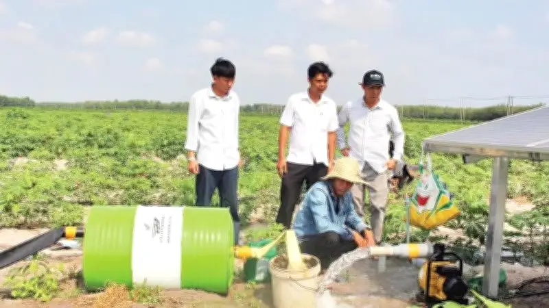 Điện mặt trời giúp nông dân Tây Ninh giảm chi phí tưới sắn