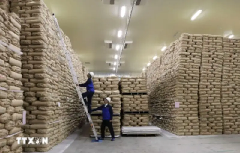 Indonesia lập kỷ lục dự trữ gạo cao nhất lịch sử