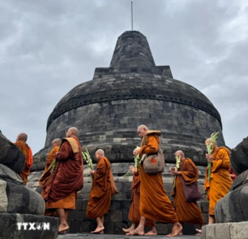 Indonesia phát hiện bảo tháp Phật giáo cổ niên đại từ thế kỷ 8