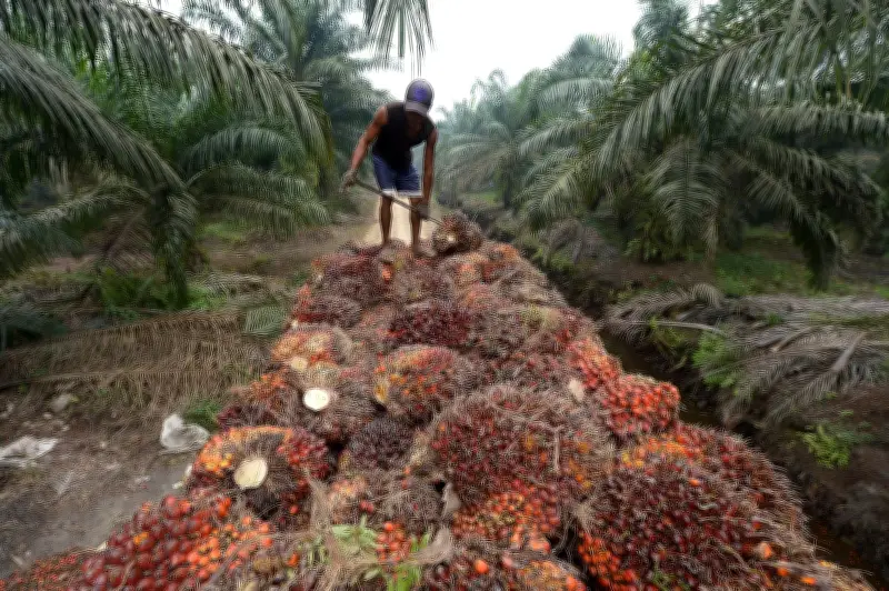 Indonesia siết chặt kiểm soát xuất khẩu tài nguyên chiến lược