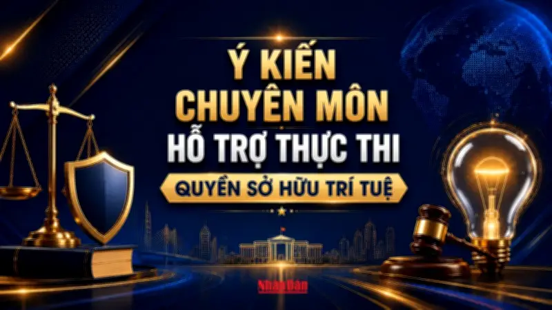 Infographic: Ý kiến chuyên gia hỗ trợ thực thi quyền sở hữu trí tuệ