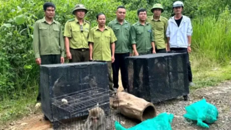 Kế hoạch 628: Chiến dịch bảo vệ động vật hoang dã đạt kết quả ấn tượng