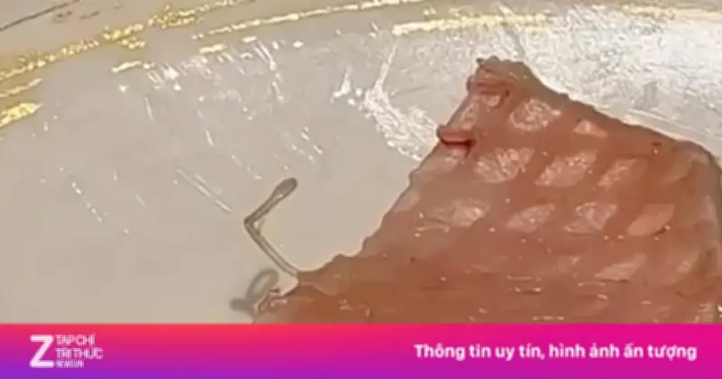 Ký sinh trùng trong sashimi ở chuỗi sushi nổi tiếng gây ám ảnh
