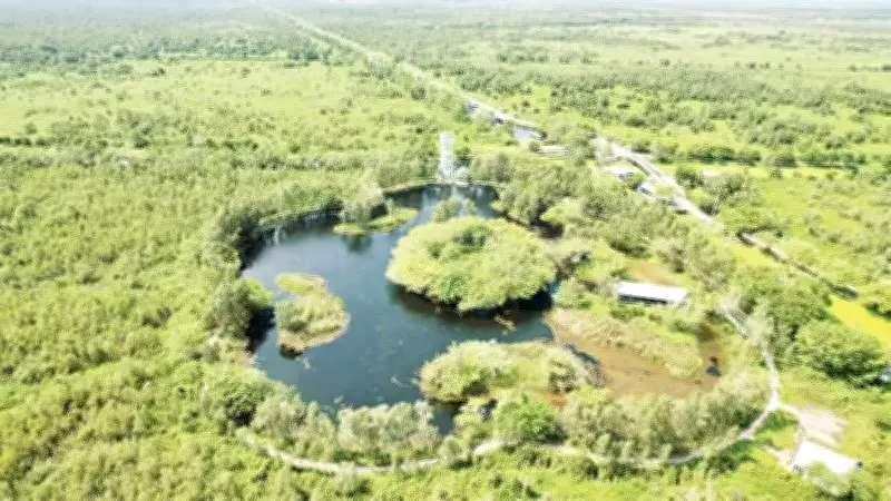 Kỳ tích hồi sinh: Từ 'vùng đất chết' U Minh Thượng sau 24 năm