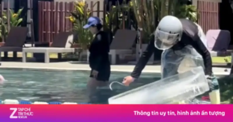Khách sạn ở Hội An thả dê xuống hồ bơi giải nhiệt gây chú ý