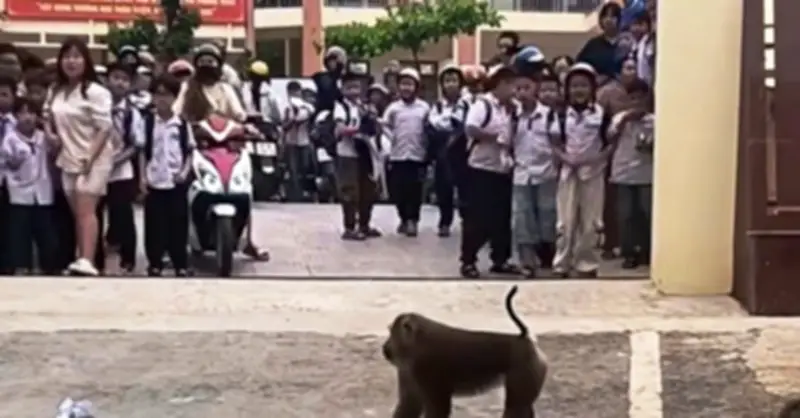 Khi hoàng xưởng núi trêu chọc học sinh cần hồng lớp ô tô