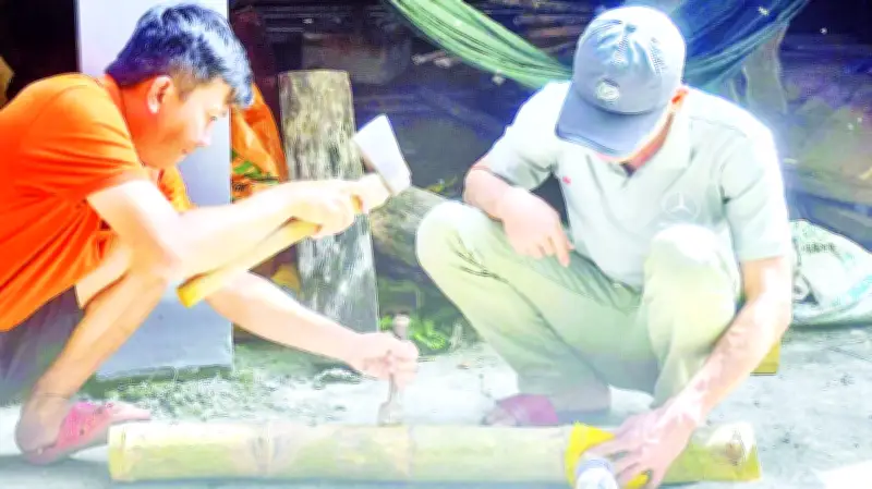 Khởi nghiệp với ong dú không ngòi đốt trong ống tre ở Cà Mau