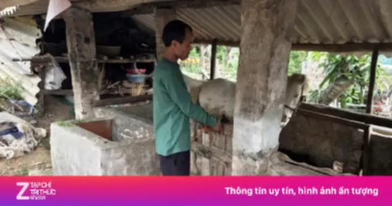 Khởi tố đối tượng trộm hai con ngựa bạch tại Bắc Ninh