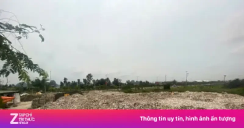 Khởi tố người phụ nữ đổ hơn 324 tấn vỏ hàu ra môi trường tại Quảng Ninh