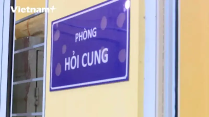 Khởi tố nhóm đối tượng vi phạm quy định đấu giá tài sản