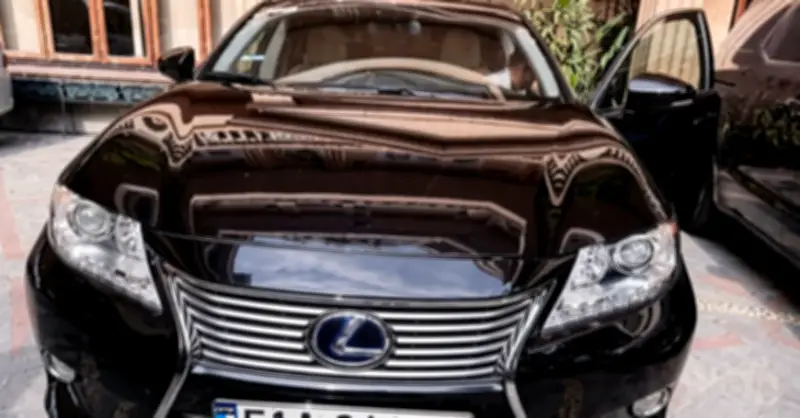 Không ai đấu giá mua 2 ô tô BMW và Lexus của bà Trương Mỹ Lan