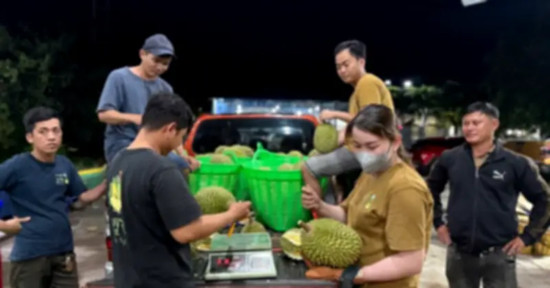 Khủng hoảng sầu riêng: Hàng nghìn tấn ùn ứ vì kiểm nghiệm, thương lái thua lỗ