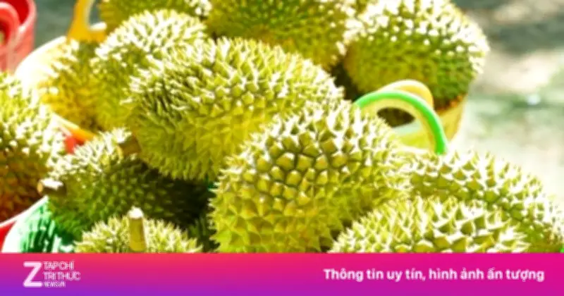 Khủng hoảng sầu riêng: Lối ra nào cho 'vua trái cây' Việt Nam?