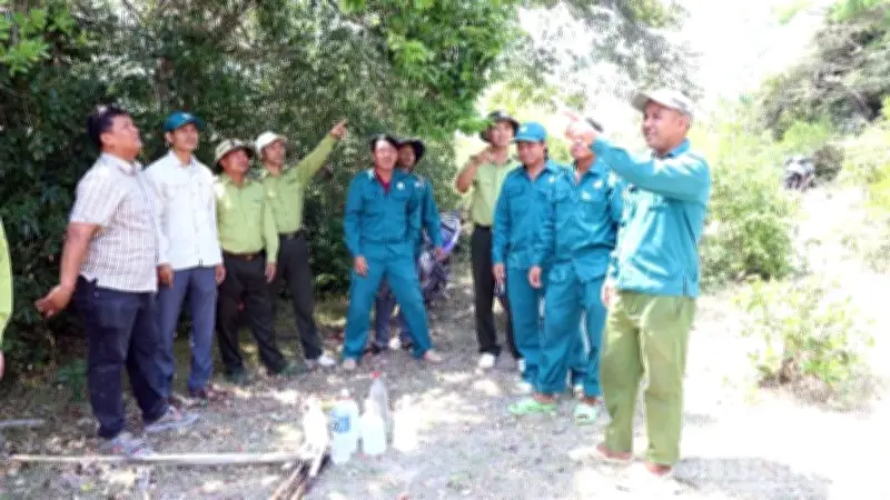 Khánh Hòa triển khai đồng bộ các giải pháp phòng cháy rừng mùa khô