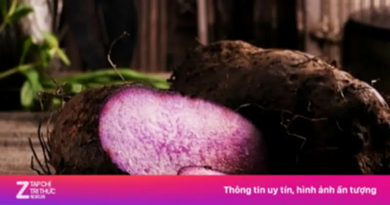 Khoai mỡ: 'Siêu thực phẩm' dân gian giá rẻ giúp dưỡng tim, ngừa bệnh