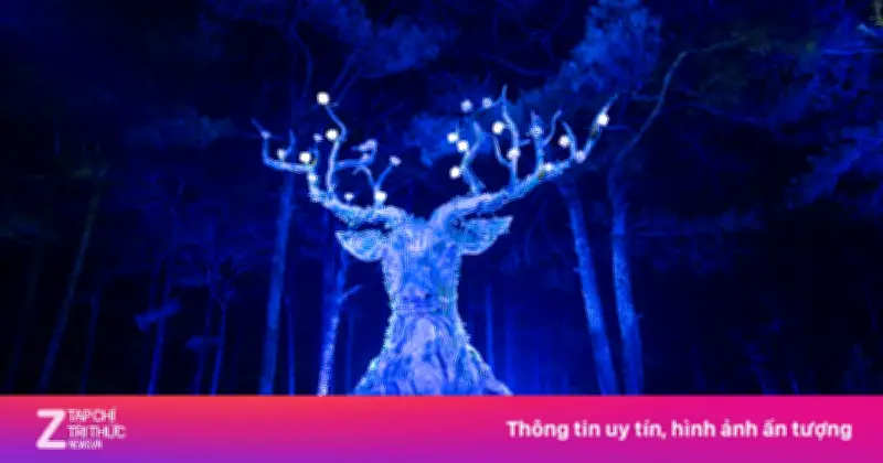 Khung cảnh cổ tích tại rừng ánh sáng Đà Lạt bên hồ Than Thở
