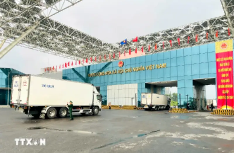 Kim ngạch xuất nhập khẩu qua cửa khẩu quốc tế Móng Cái đạt hơn 6,2 tỷ USD