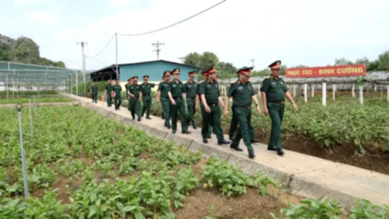 Kiểm tra công tác quân nhu và dự án tăng gia sản xuất tại Sư đoàn 324
