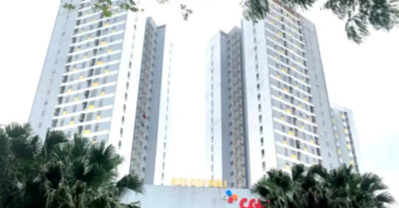 Kinh tế hiện đại không đo bằng tỷ lệ sở hữu nhà cao hay thấp