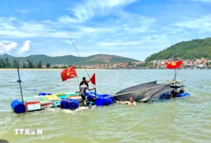 Kịp thời cứu nạn 5 thuyền viên bị chìm tàu tại Nghệ An