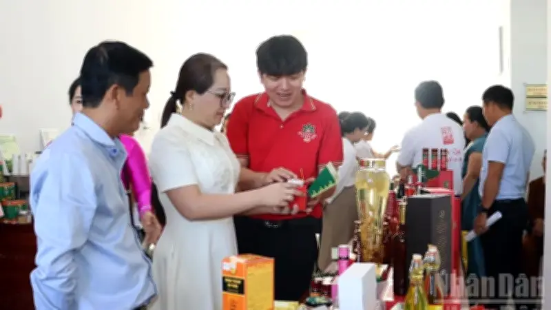 Kết nối OCOP Quảng Ngãi: 60 sản phẩm tinh hoa hướng đến thị trường mới