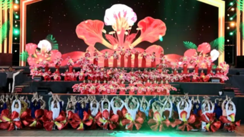 Lễ hội Hoa phượng đỏ Hải Phòng 2026: Hội tụ và tỏa sáng