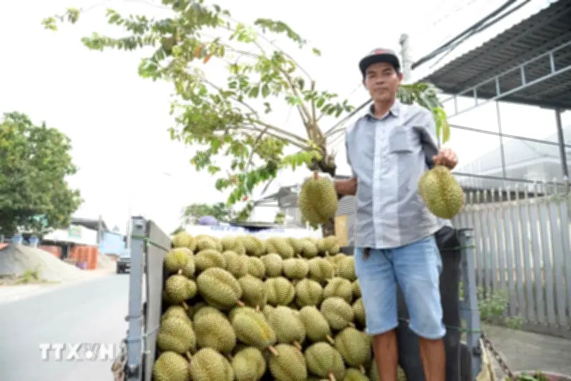 Lễ hội trái cây Đồng Tháp lần đầu tiên với nhiều hoạt động đặc sắc