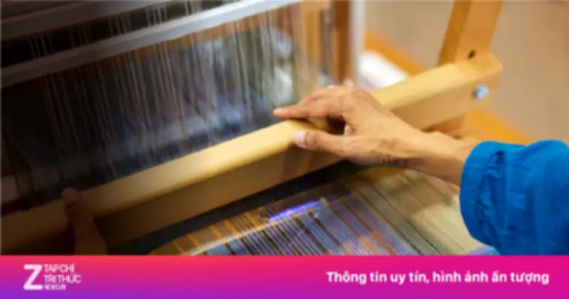Lịch sử 30.000 năm của vải vóc qua 13 câu chuyện độc đáo