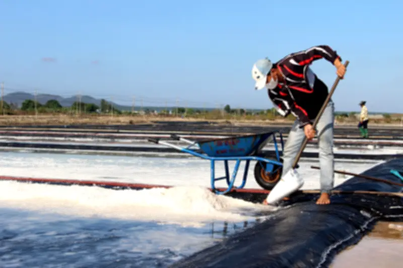 Lâm Đồng: Điểm dãn vui mừng nhờ vụ mưới kéo dài gia tăng