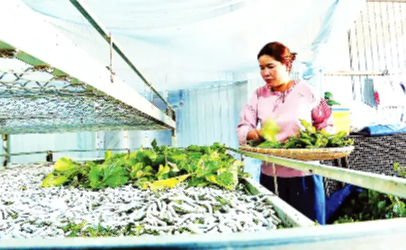 Lâm Đồng xây dựng lộ trình đổi mới công nghệ đến năm 2035