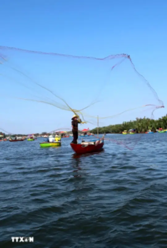 Lênh đênh đặc sản thuyền thúng ở Cẩm Thanh