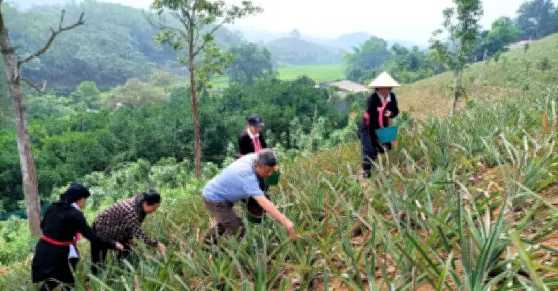 Lào Cai đặt mục tiêu giảm nghèo đa chiều 1,5% vào năm 2026