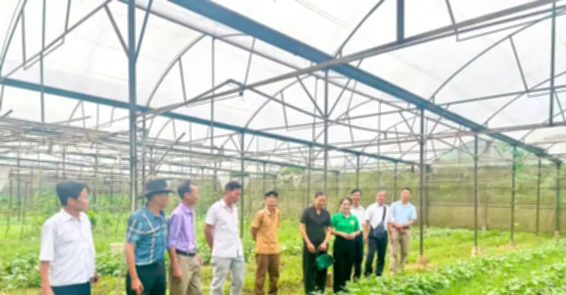 Lào Cai đẩy mạnh giảm nghèo thông tin, chuyển đổi số cho người dân vùng cao