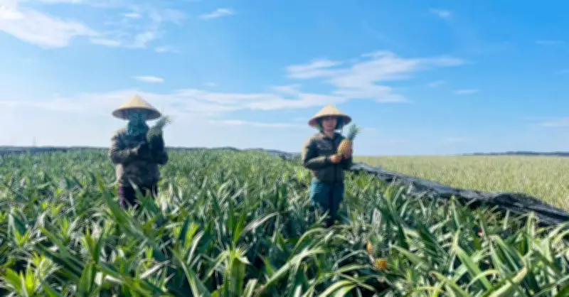 Lào Cai đẩy mạnh tuyên truyền, nâng cao nhận thức phát triển thị trường trong nước