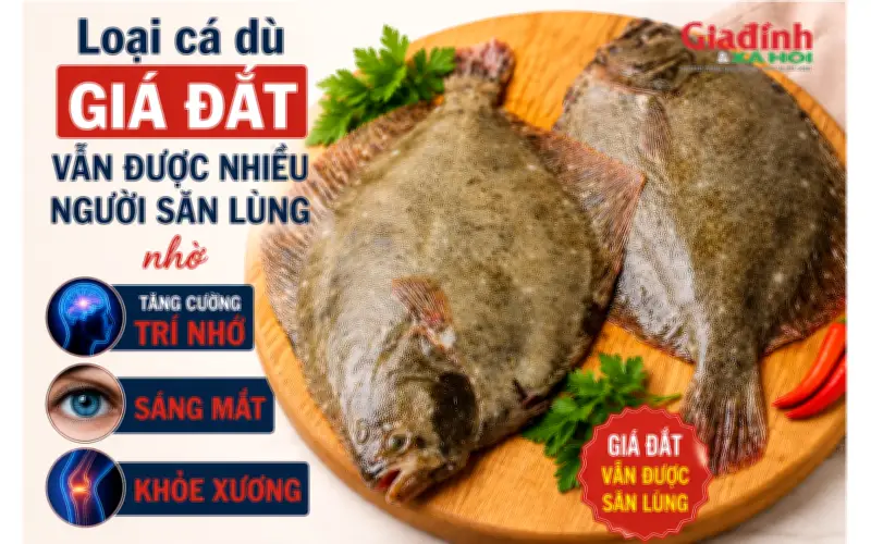 Loại cá dù giá đắt vẫn được săn lùng nhờ tăng cường trí nhớ, sáng mắt, khỏe xương