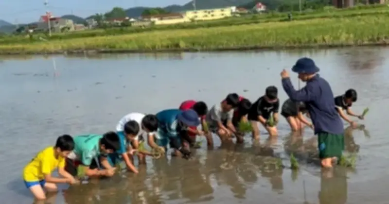 Lớp học cấy lúa, bắt ốc cho 'khối nghỉ hè' gây bão mạng