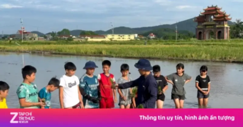 Lớp học cấy lúa cho trẻ em dịp nghỉ hè ở Nghệ An gây sốt mạng