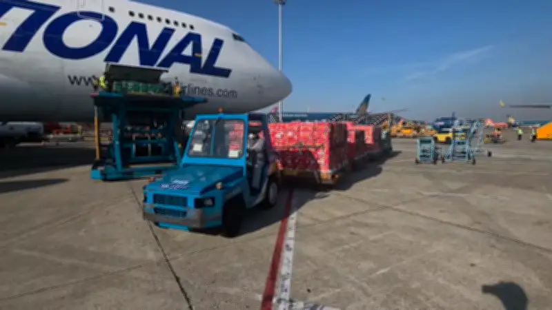 Lulu Group International tiếp tục mở rộng thu mua nông sản Việt sang Trung Đông